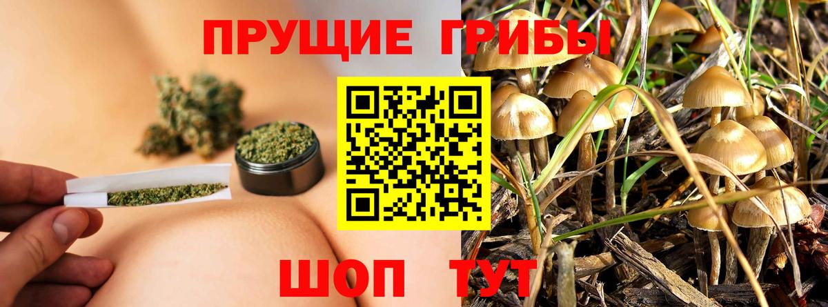 Краснодар  Галлюциногенные грибы прущие грибы  Вход с VPN 